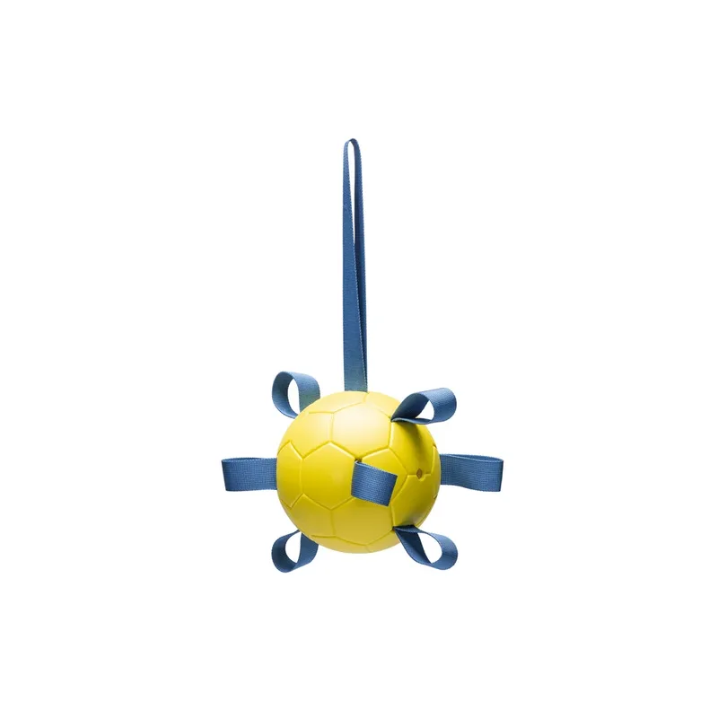 Fetch Playball Hondenspeeltje by Beeztees – product photo