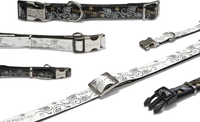 Forever - Hondenhalsband - L - 35-50 cm x 20 mm von Beeztees in Weiß – Produktfoto