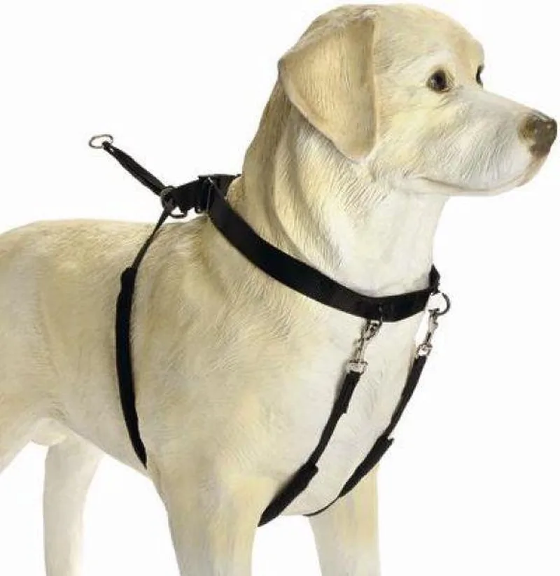 Gentle Walker - Hondentuig - L by Beeztees in Black – product photo