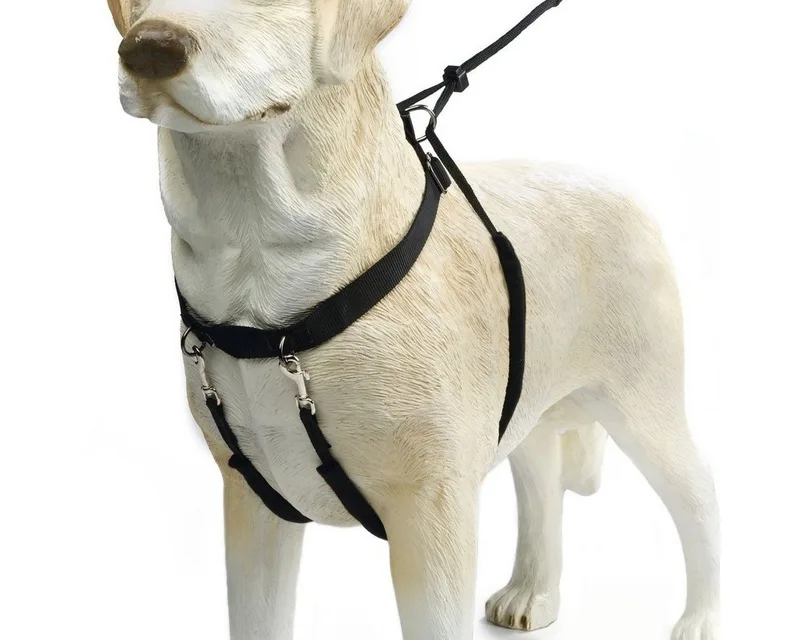 Gentle Walker - Hondentuig - S by Beeztees in Black – product photo 3 of 4