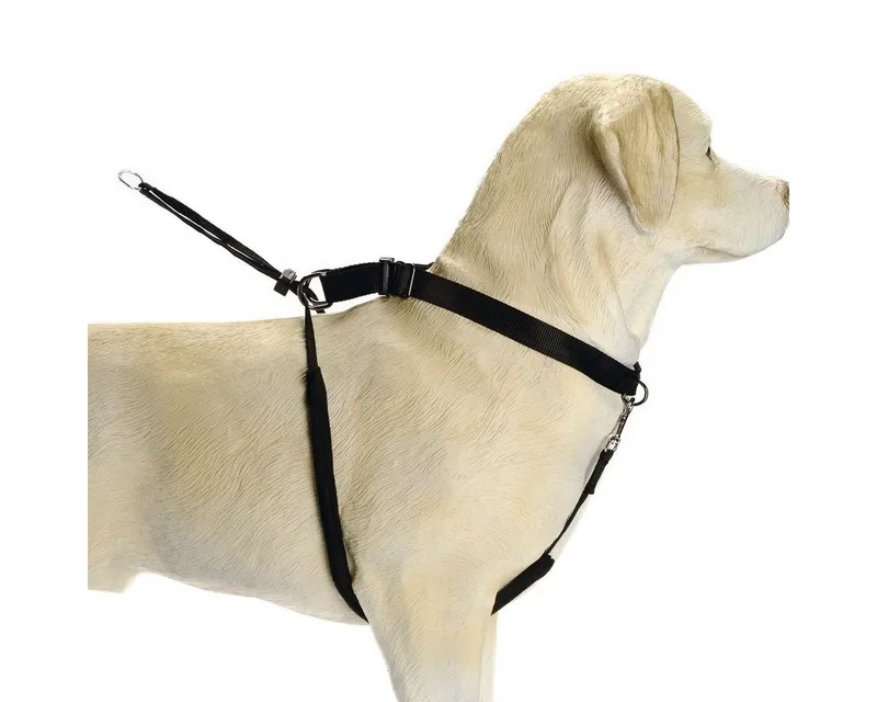 Gentle Walker - Hondentuig - S by Beeztees in Black – product photo 2 of 4