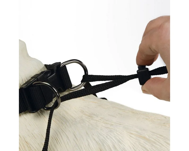 Gentle Walker - Hondentuig - S by Beeztees in Black – product photo 4 of 4
