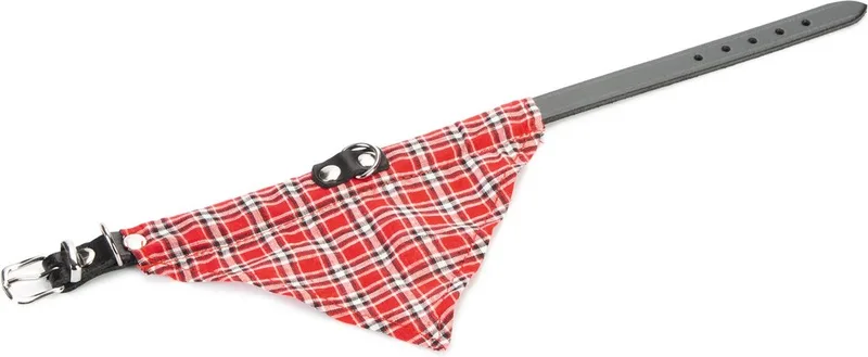 Halsband + doekje 52cm von Beeztees in Zwart rood – Produktfoto