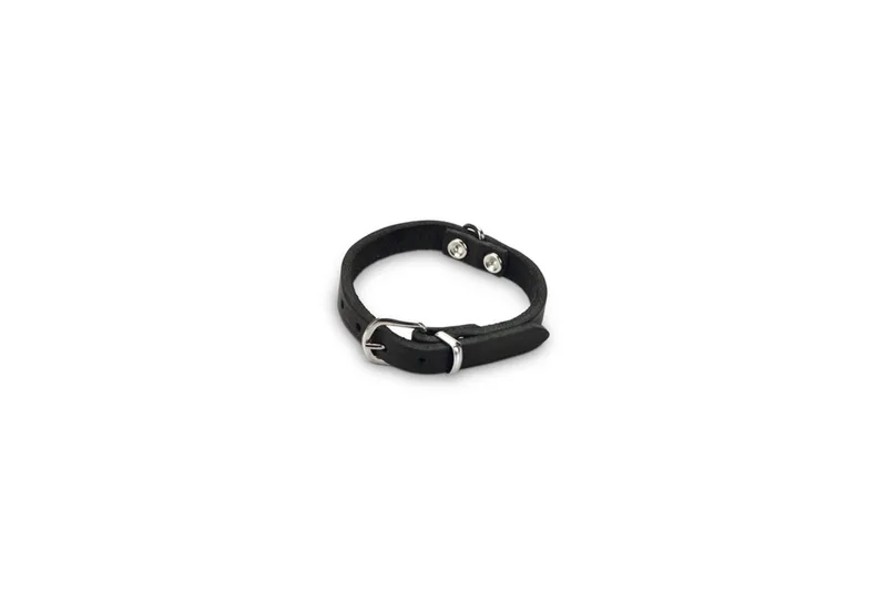 Halsband Hond - Leer - 17,5-22,5 cm x 10 mm by Beeztees in Black – product photo