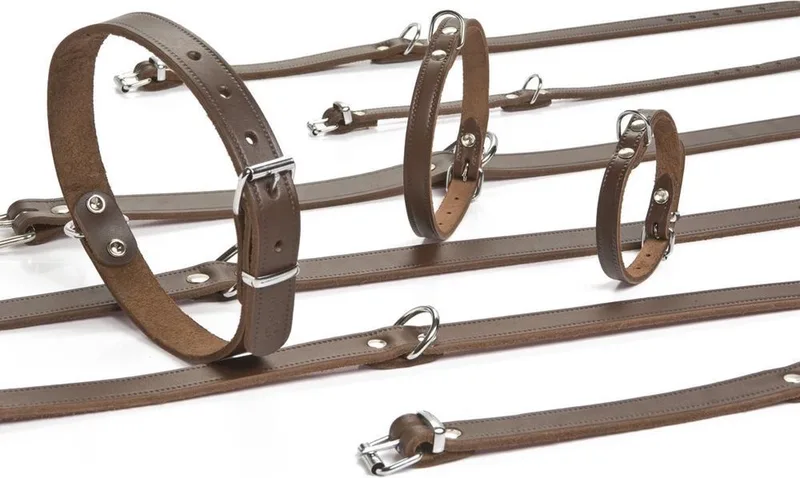 Halsband Hond - Leer - 27-33 cm x 12 mm de Beeztees en Marron – photo produit