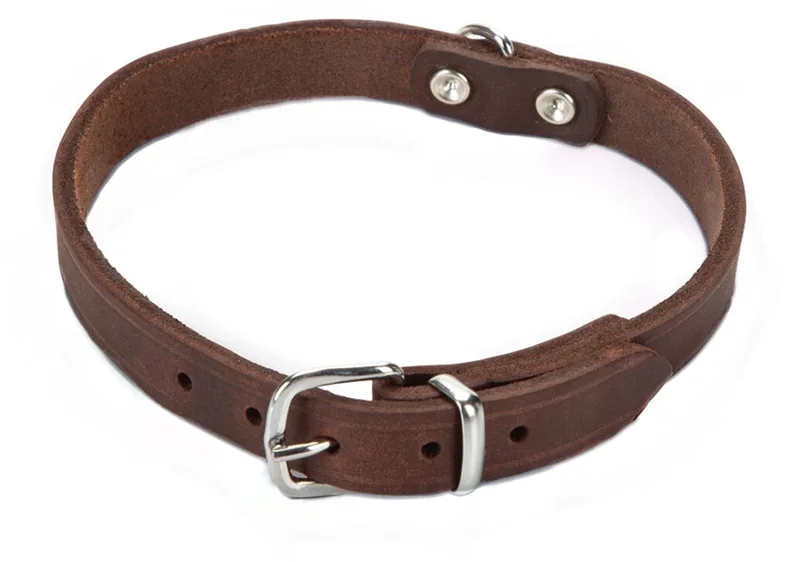 Halsband Hond - Leer - 35,5-41,5 cm x 18 mm by Beeztees in Brown – product photo