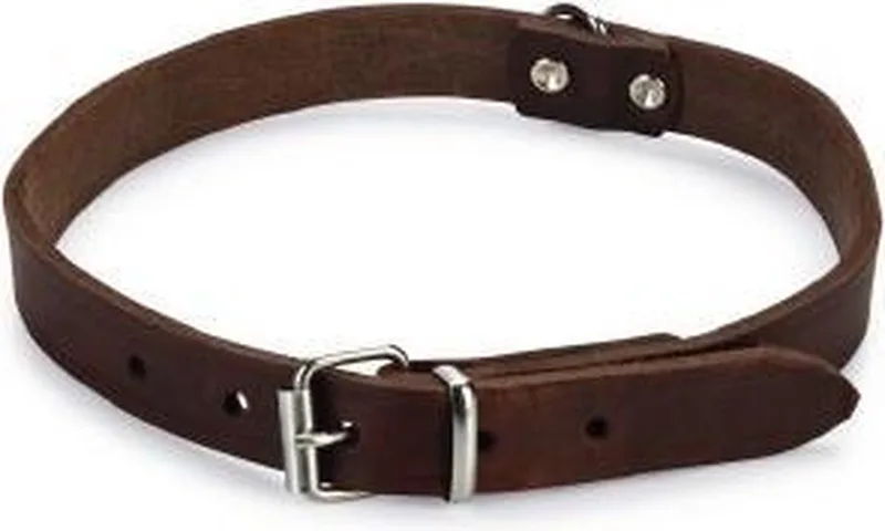Halsband Hond - Leer - 43-52 cm x 20 mm de Beeztees en Marron – photo produit