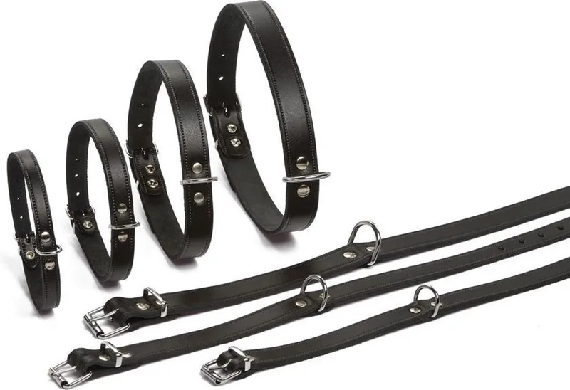 Halsband Hond - Leer - 43-52 cm x 20 mm de Beeztees en Noir – photo produit