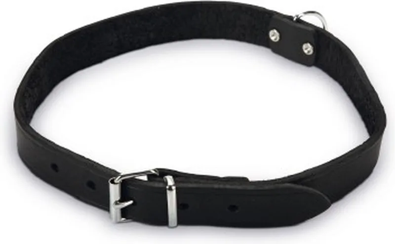 Halsband Hond - Leer - 55-65 cm x 25 mm by Beeztees in Black – product photo