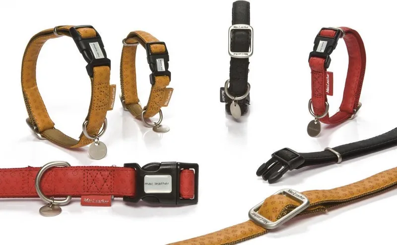 Halsband Hond - Mac Leather - 20-40 cm de Beeztees en Rouge – photo produit