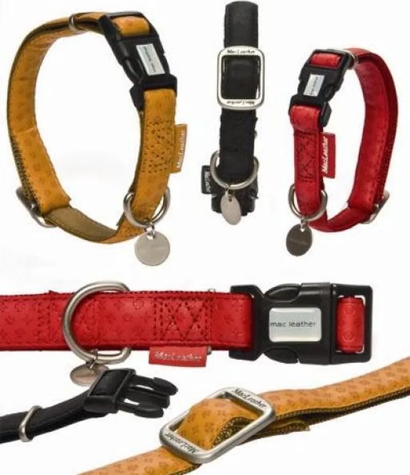 Halsband Hond - Mac Leather - 45-70 cm van Beeztees in Zwart – productfoto