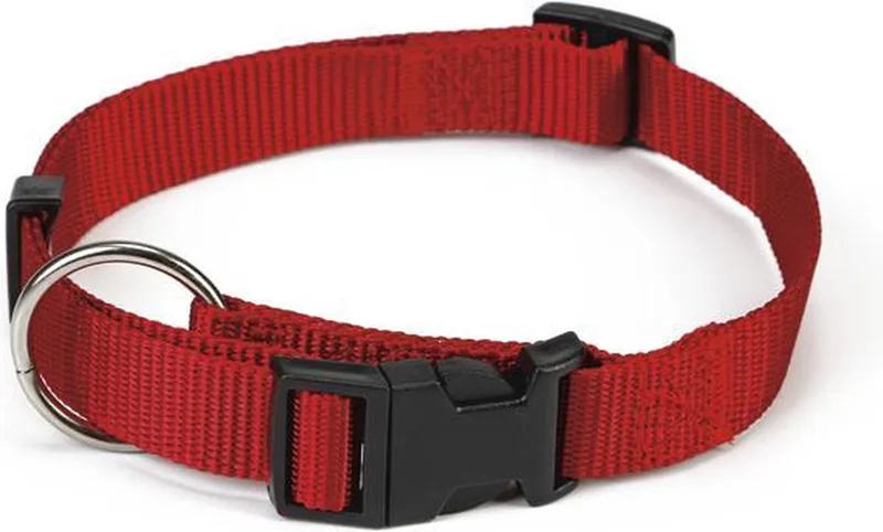Halsband Hond - Nylon - 40-65 cm x 25 mm von Beeztees in Rot – Produktfoto