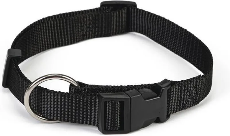Halsband Hond - Nylon - 40-65 cm x 25 mm by Beeztees in Black – product photo