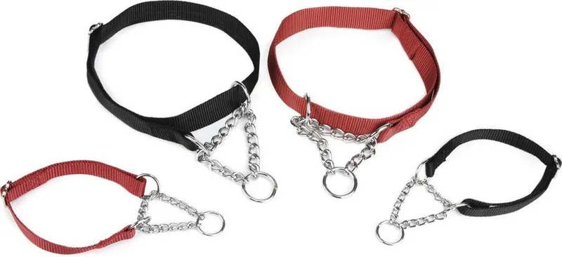 Halsband Hond - Nylon - 45-70 cm x 25 mm by Beeztees in Black – product photo