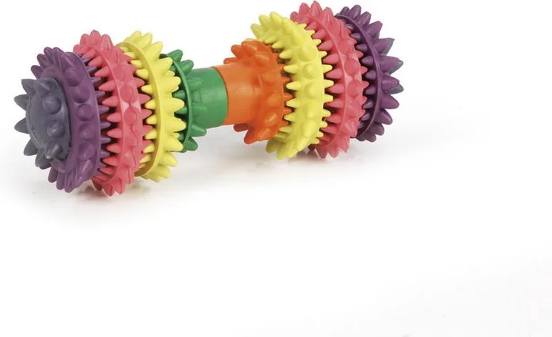 Halter Dental Care - Hondenspeelgoed - Rubber - 14x6x6 cm de Beeztees en Regenboog – photo produit