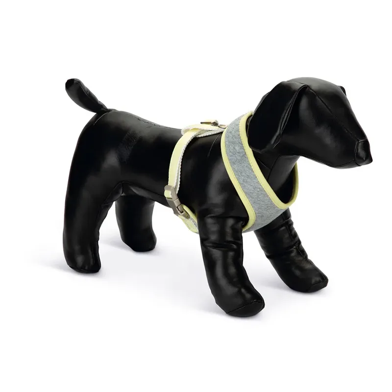 Harnais Pour Chien Bronda by Beeztees – product photo