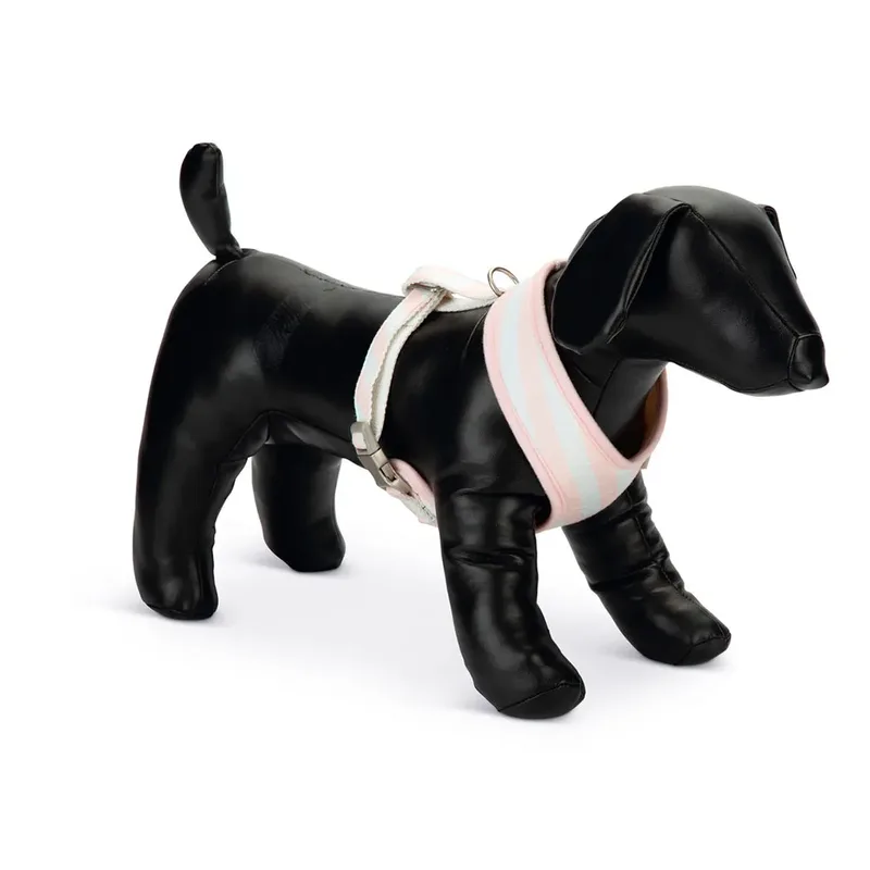 Harnais Pour Chien Filana by Beeztees – product photo