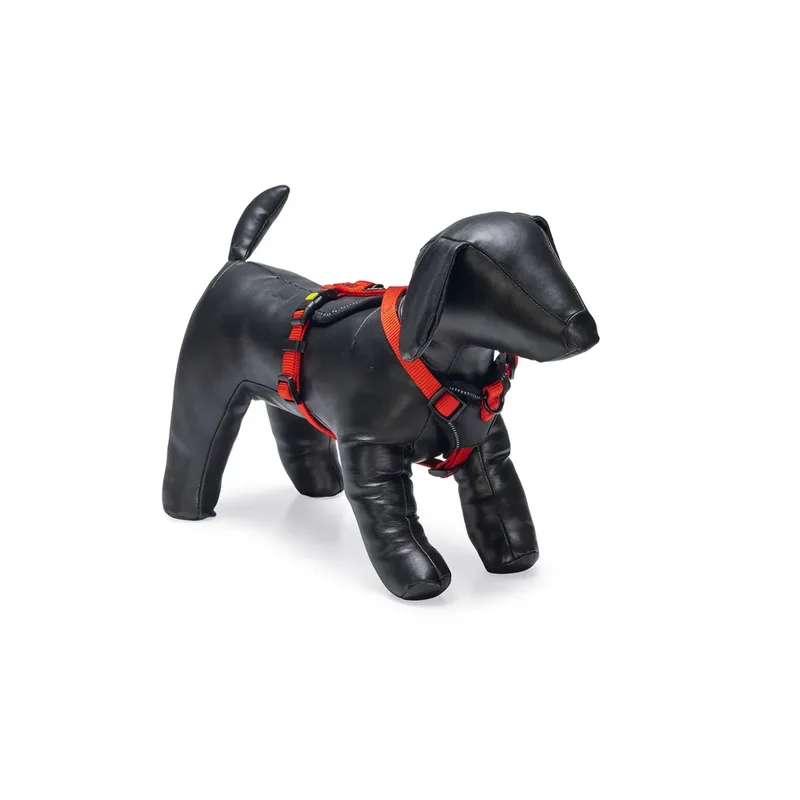 Harnais Pour Chien Premium Parinca Y by Beeztees – product photo
