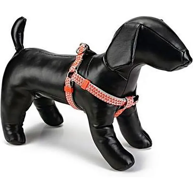 Harnais Pour Chien Triangle de Beeztees – photo produit
