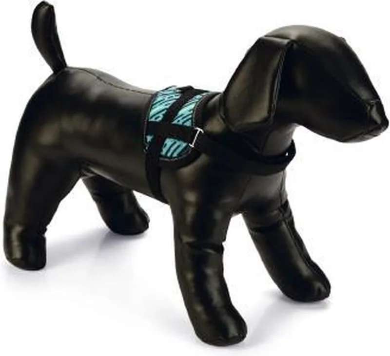 Harnas Memphis lichtblauw 31 - 40 cm x 15 mm by Beeztees in Blue – product photo