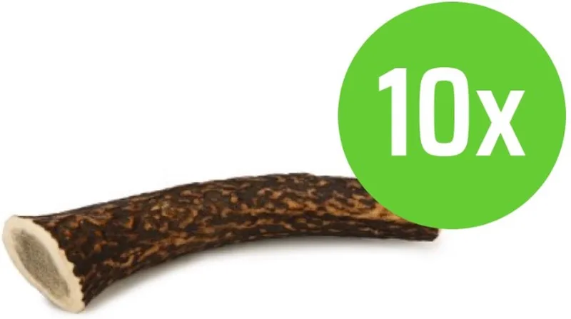 Hertengewei - Hondensnack - M - ca 110 gram - hondensnack - 10 Stuks de Beeztees – photo produit