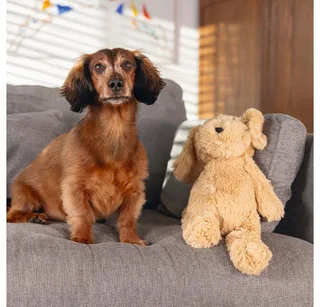 Honden knuffel Vajen - Honden speelgoed - Hondenspeeltjes zonder piep - Pluche - Lichtbruin - 41x15x13 cm by Beeztees in Brown – product photo 2 of 2