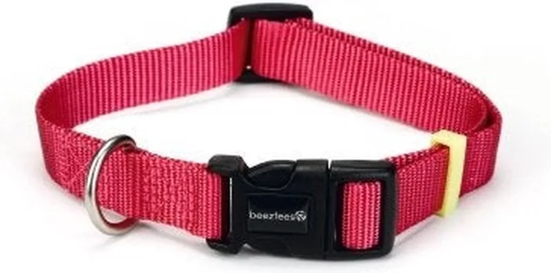 hondenhalsband Uni 20-30 cm x 10 mm von Beeztees in Rosa – Produktfoto