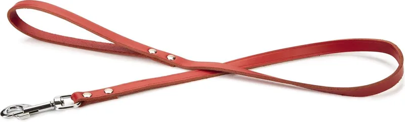 Hondenriem - Geniet - 100x16 cm van Beeztees in Rood – productfoto
