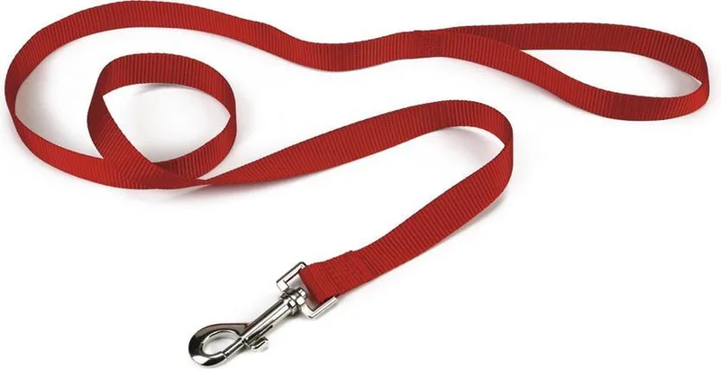 Hondenriem - Nylon - 100 cm x 20 mm de Beeztees en Rouge – photo produit