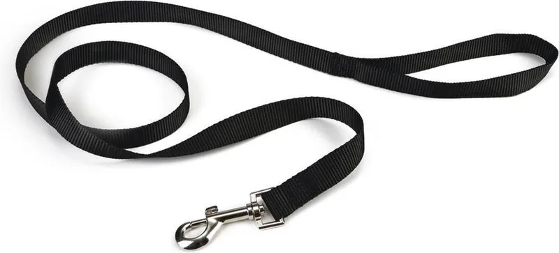 Hondenriem - Nylon - 130 cm x 15 mm by Beeztees in Black – product photo
