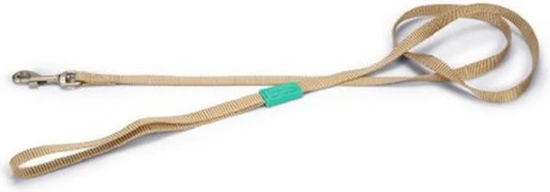 Hondenriem Uni Nylon 120cmx10mm van Beeztees in Beige – productfoto