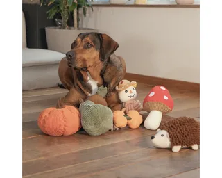 Hondenspeeltje Pluche Pompoen Ora 18cm by Beeztees – product photo 2 of 3