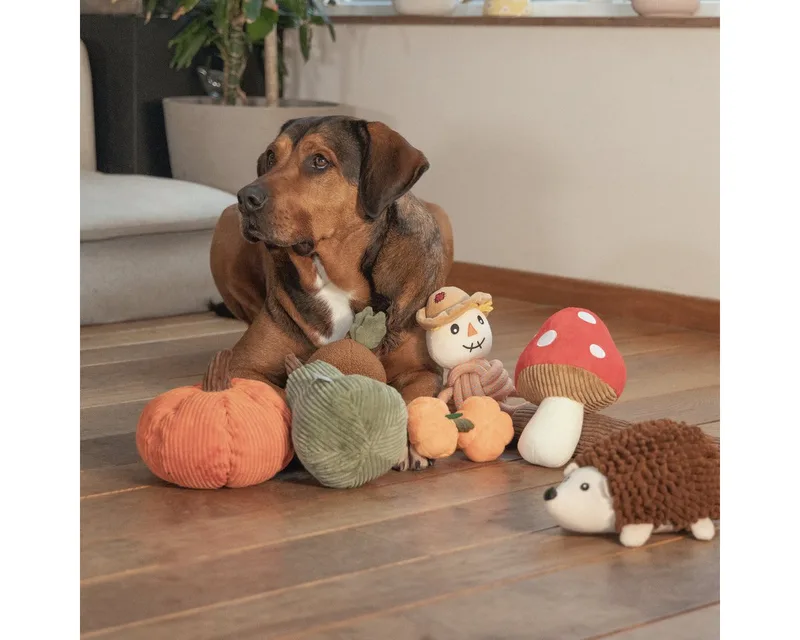 Hondenspeeltje Pluche Pompoen Ora 18cm by Beeztees – product photo 2 of 3