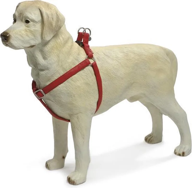 Hondentuig - Mac Leather - 50-75 cm by Beeztees in Red – product photo