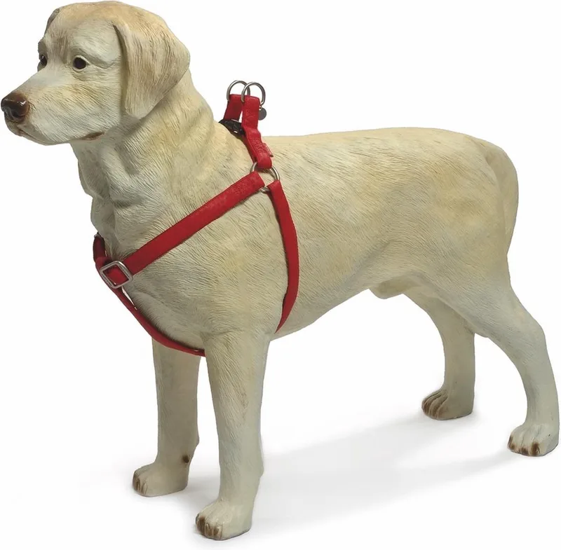 Hondentuig - Mac Leather - 60-100 cm by Beeztees in Red – product photo