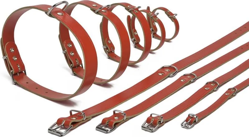 Ipts halsband - 32x10 von Beeztees in Rot – Produktfoto