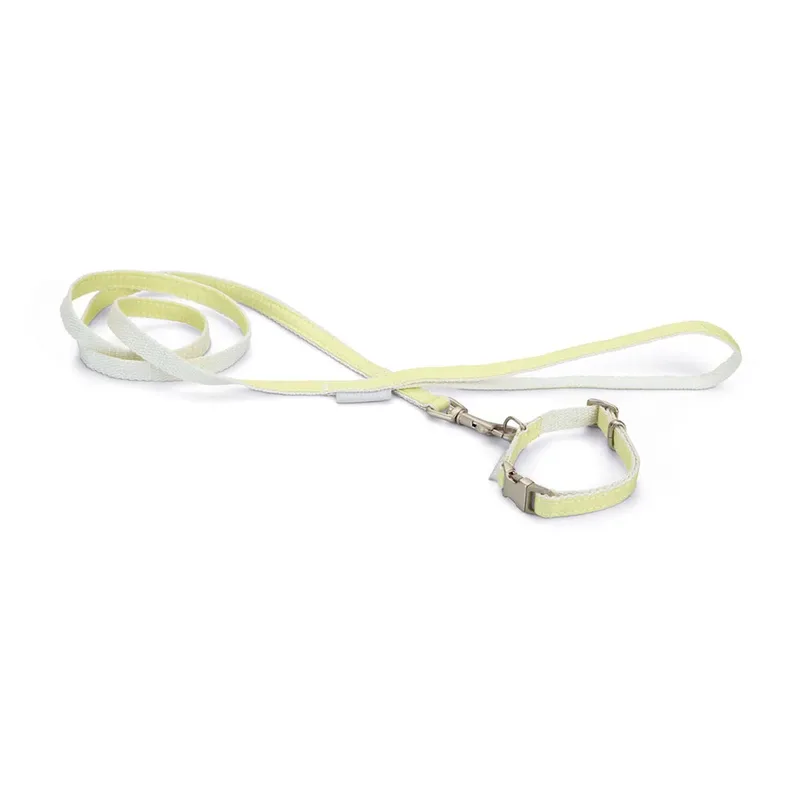 Jicca Hondenhalsband by Beeztees – product photo