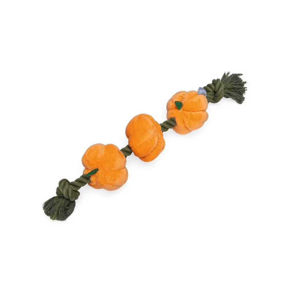 Jouet Pour Chien Pumpkins & Rope by Beeztees – product photo