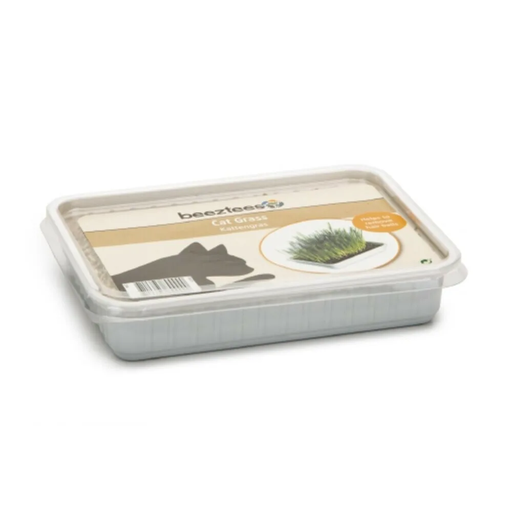 Kattengras in Plastic Box 130 gr by Beeztees – product photo