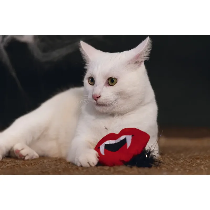 kattenspeeltje dracula 10 x 15 x 3 cm fra Beeztees i Sort, Rød – produktbillede 3 af 3