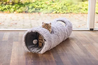 Kattentunnel voor kittens Nona grijs, 90x25x25cm by Beeztees – product photo 4 of 4