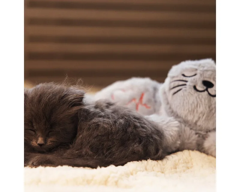 Kitten Heartbeat Knuffel Pur - Kattenspeelgoed - Polyester - 23x13x11 cm de Beeztees en Gris – photo produit 5 sur 5