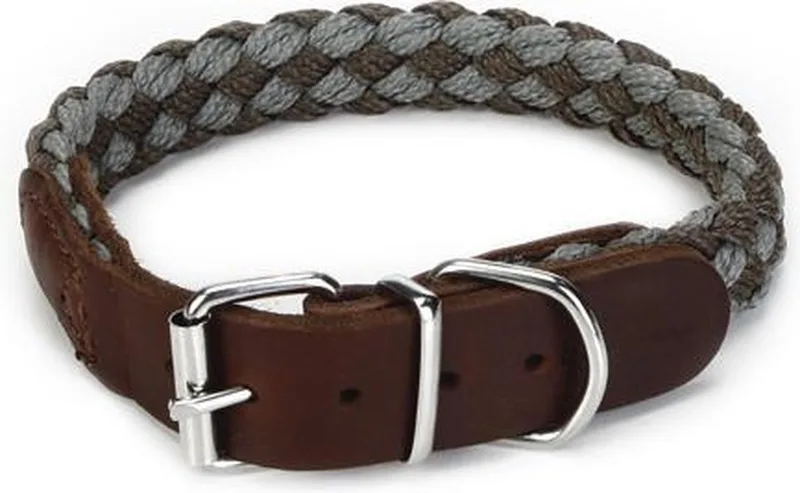 Korda - Halsband Hond - Grijs/Lichtgrijs - 33-39 cm von Beeztees in Grau – Produktfoto