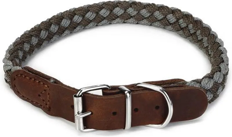 Korda - Halsband Hond - Grijs/Lichtgrijs - 47-53 cm de Beeztees en Gris – photo produit