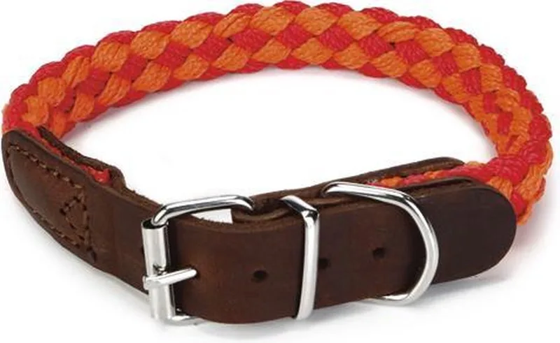 Korda - Halsband Hond - Rood/Oranje - 33-39 cm de Beeztees en Rouge – photo produit
