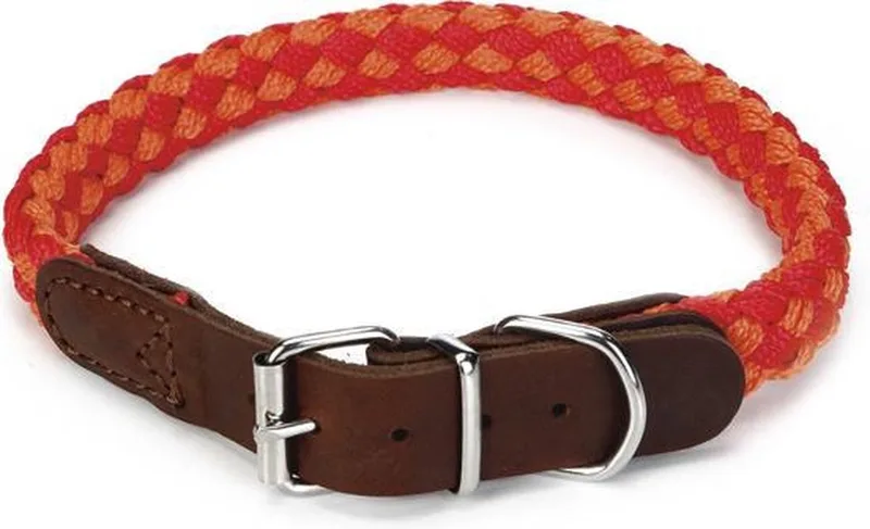 Korda - Halsband Hond - Rood/Oranje - 47-53 cm de Beeztees en Rouge – photo produit