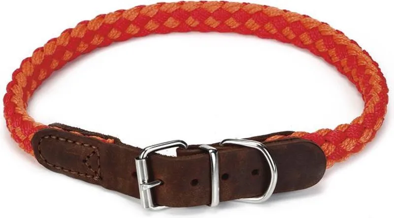 Korda - Halsband Hond - Rood/Oranje - 53-59 cm de Beeztees en Rouge – photo produit