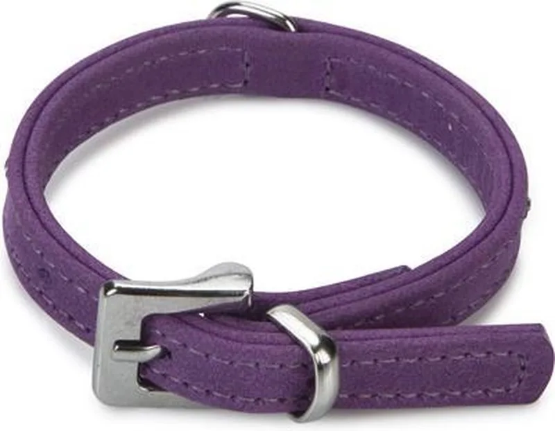 leren halsband Buffalo Strass. 24 cm x 10 mm. de Beeztees en Violet – photo produit