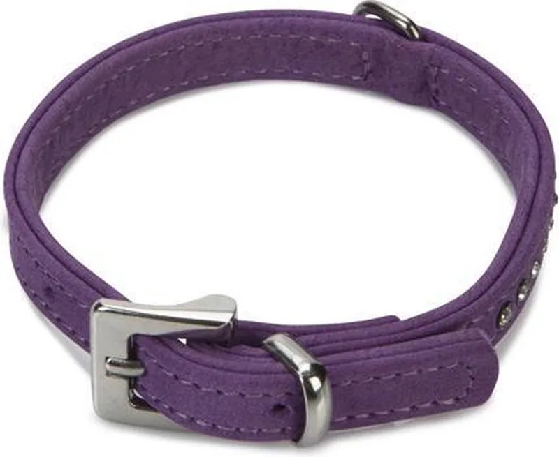 leren halsband Buffalo Strass. 27 cm x 10 mm. von Beeztees in Lila – Produktfoto