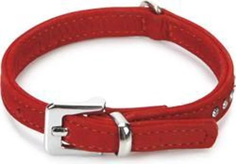leren halsband Buffalo Strass. 27 cm x 10 mm. by Beeztees in Red – product photo